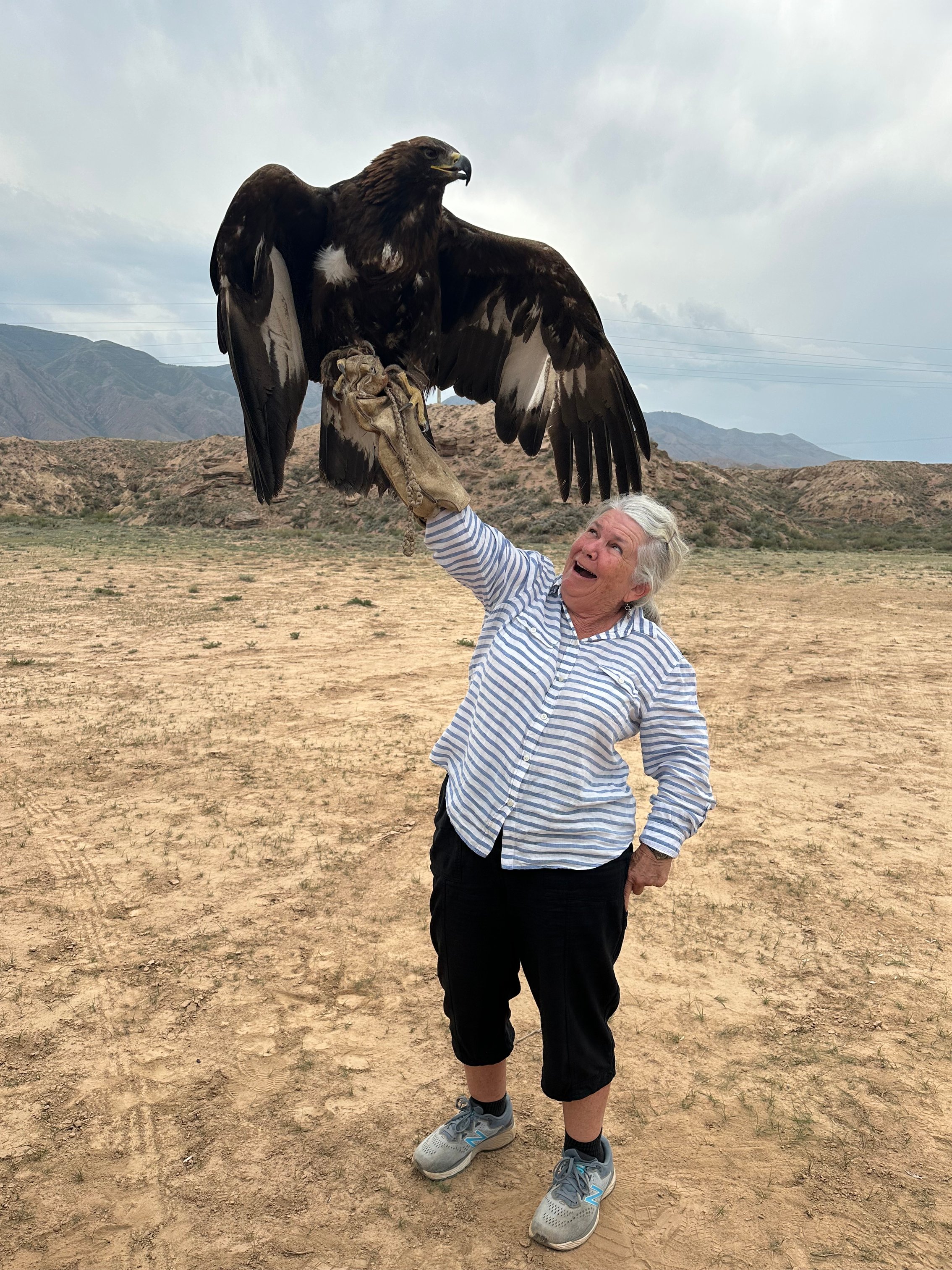 569d1867-a317-4ed9-8303-bf5f262e5d9c-photo_competition-2798F90E-4526-4CAB-9030-B305244C7849