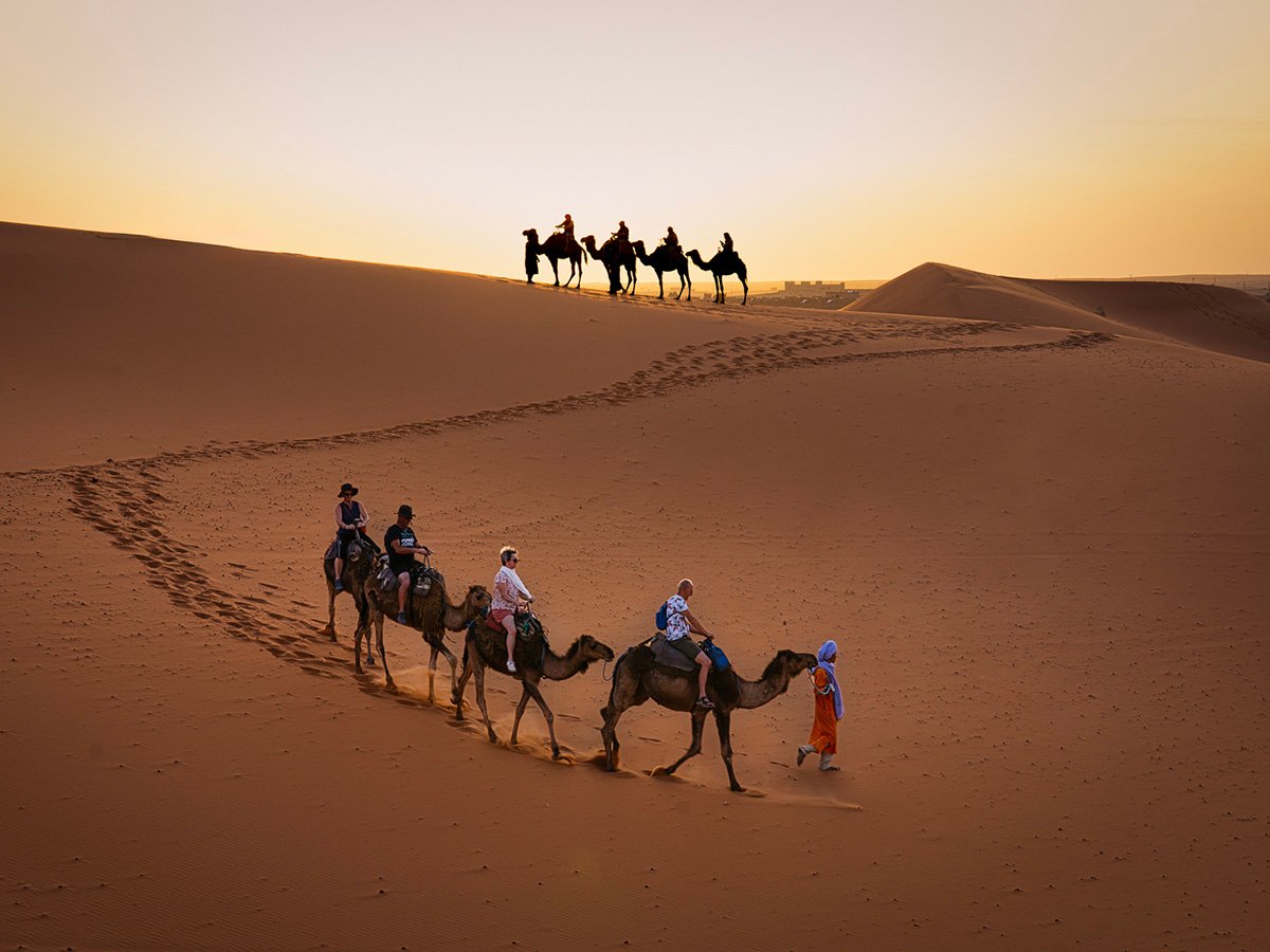 TWS_AlbertT_thumbnail